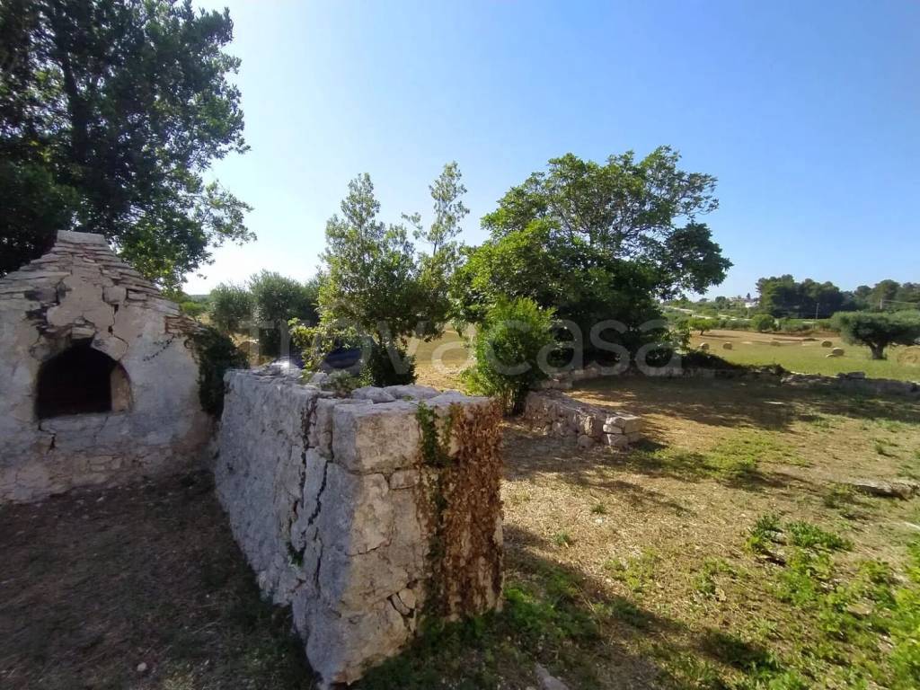 immagine annuncio 2 di 8