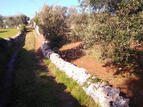 immagine annuncio 6 di 7