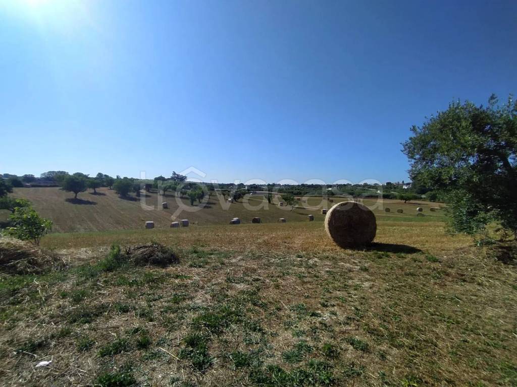 immagine annuncio 5 di 8