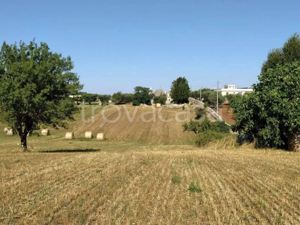 immagine annuncio 6 di 8