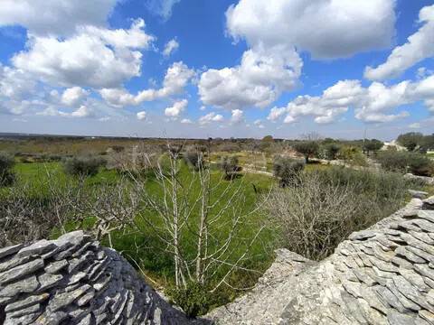 immagine annuncio 10 di 11