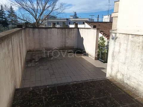 immagine annuncio 10 di 14