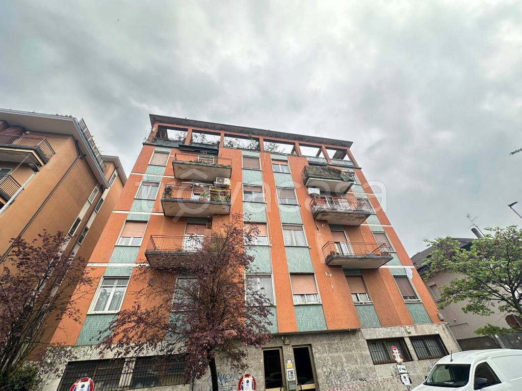 immagine annuncio 14 di 15