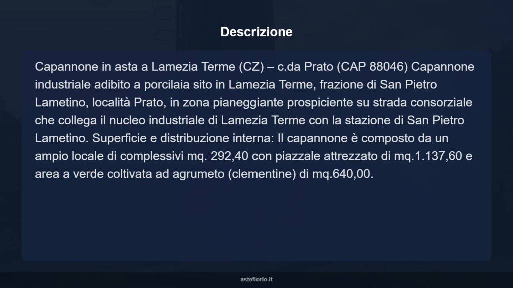 immagine annuncio 8 di 10