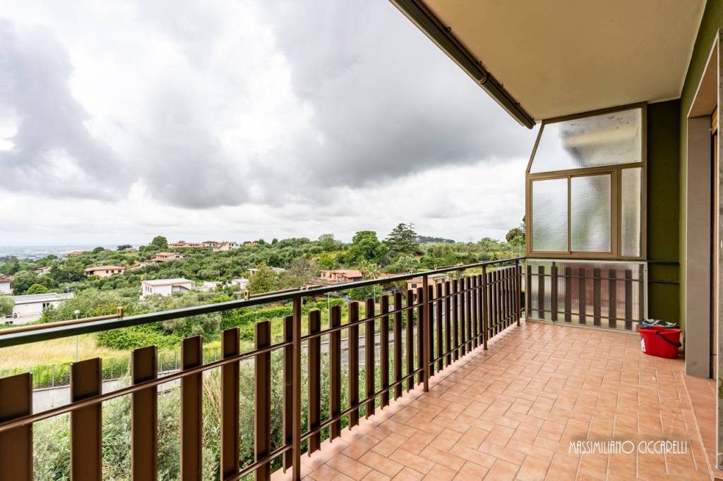 immagine annuncio 6 di 14