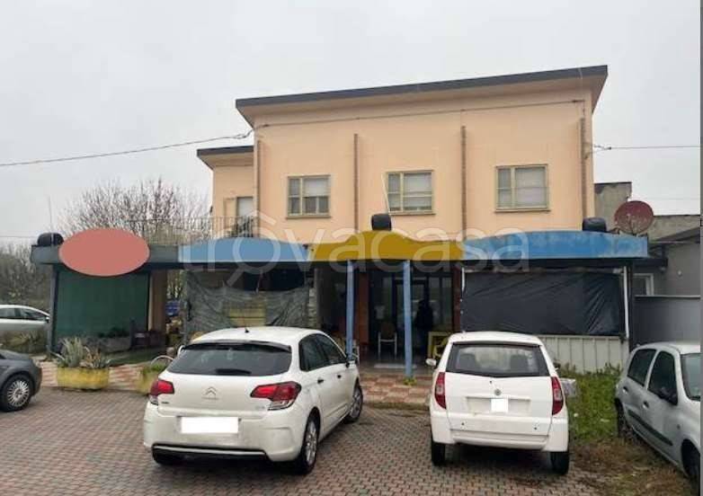 immagine annuncio 1 di 11