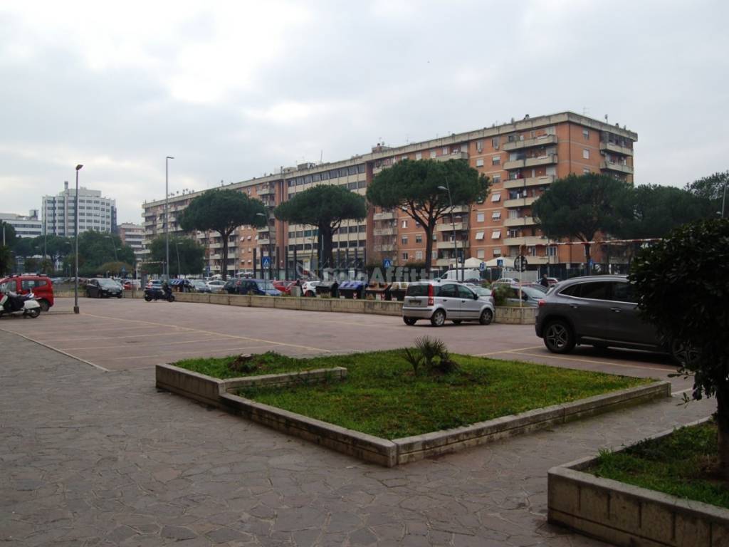 immagine annuncio 10 di 11