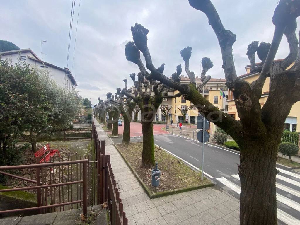 immagine annuncio 4 di 11