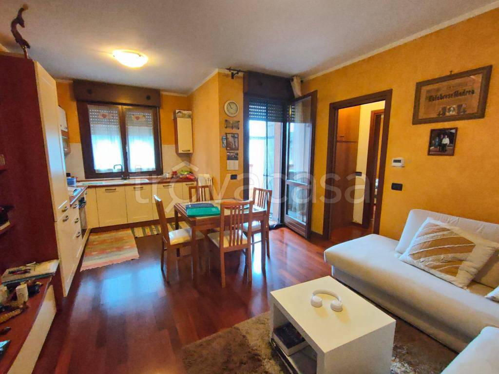 immagine annuncio 5 di 15