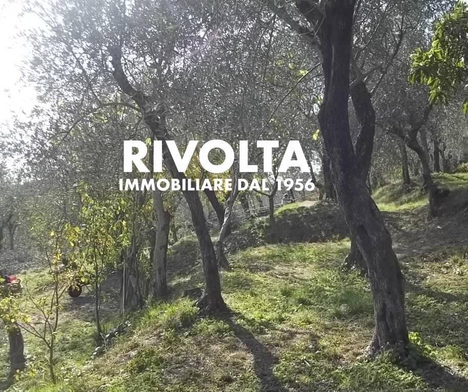 immagine annuncio 1 di 3