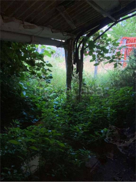 immagine annuncio 4 di 12