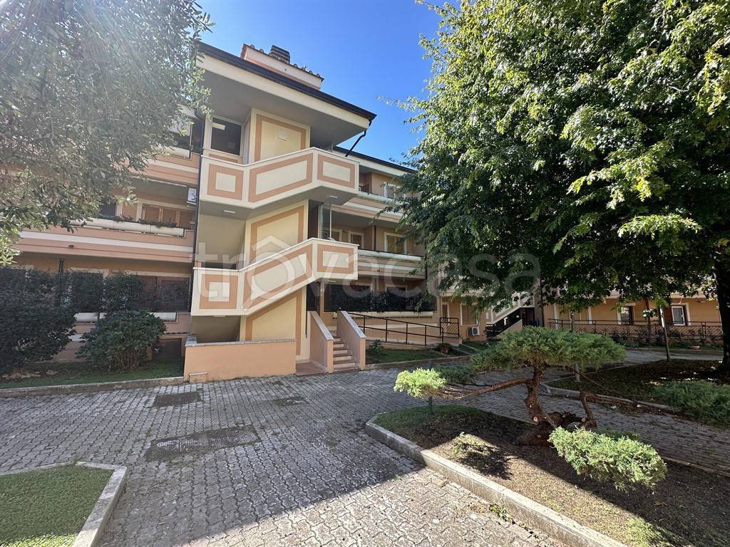 immagine annuncio 5 di 14