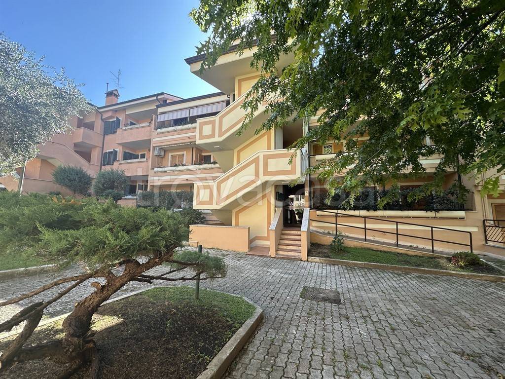 immagine annuncio 6 di 14