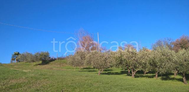 immagine annuncio 1 di 3