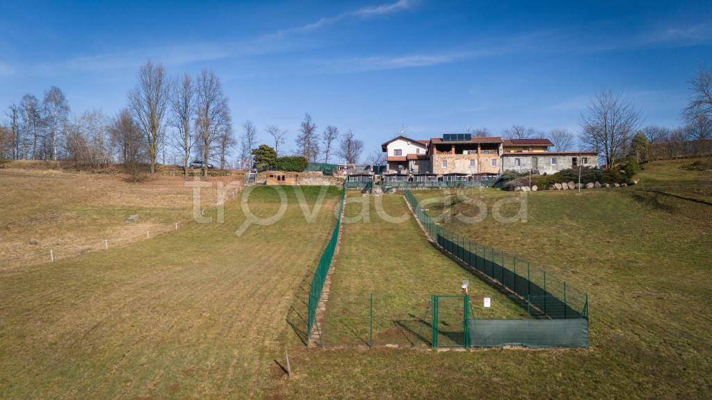 immagine annuncio 12 di 15