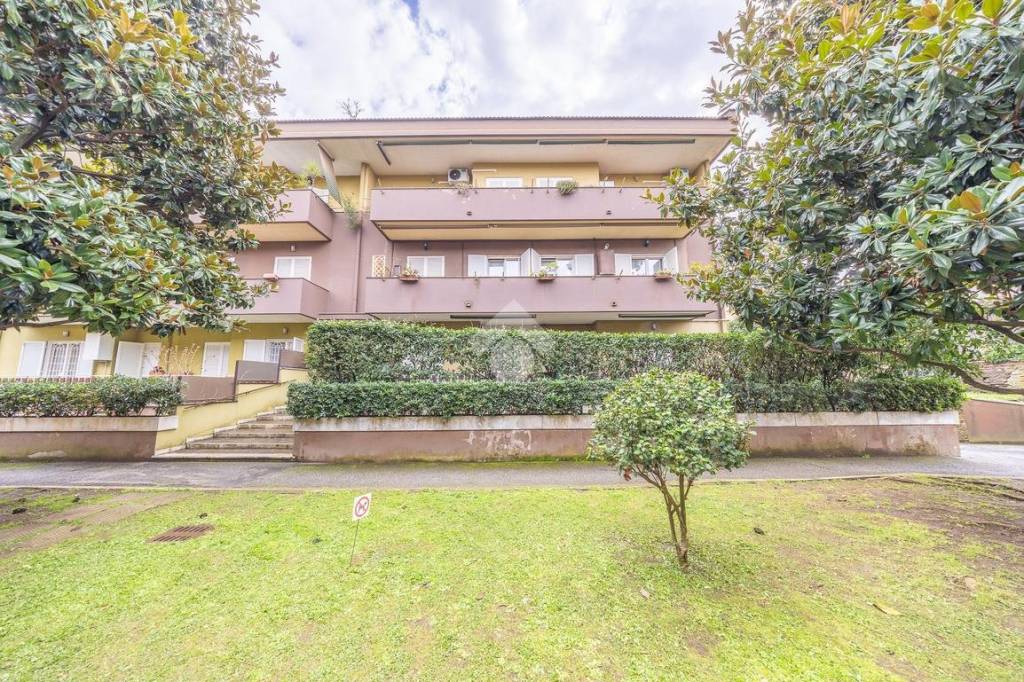 immagine annuncio 5 di 7