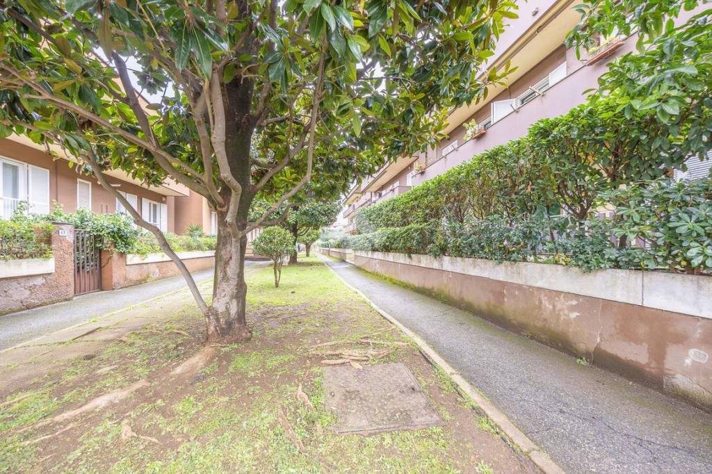 immagine annuncio 6 di 7