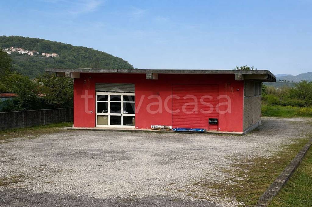 immagine annuncio 1 di 3