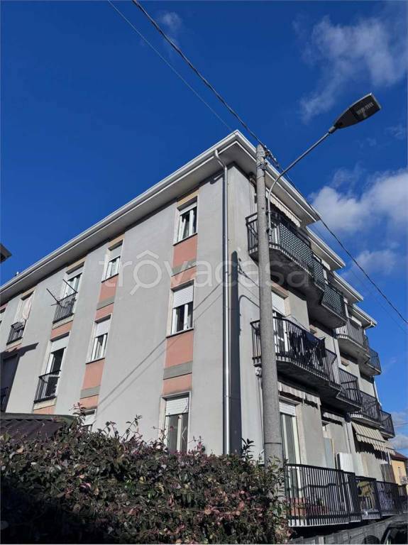 immagine annuncio 1 di 14