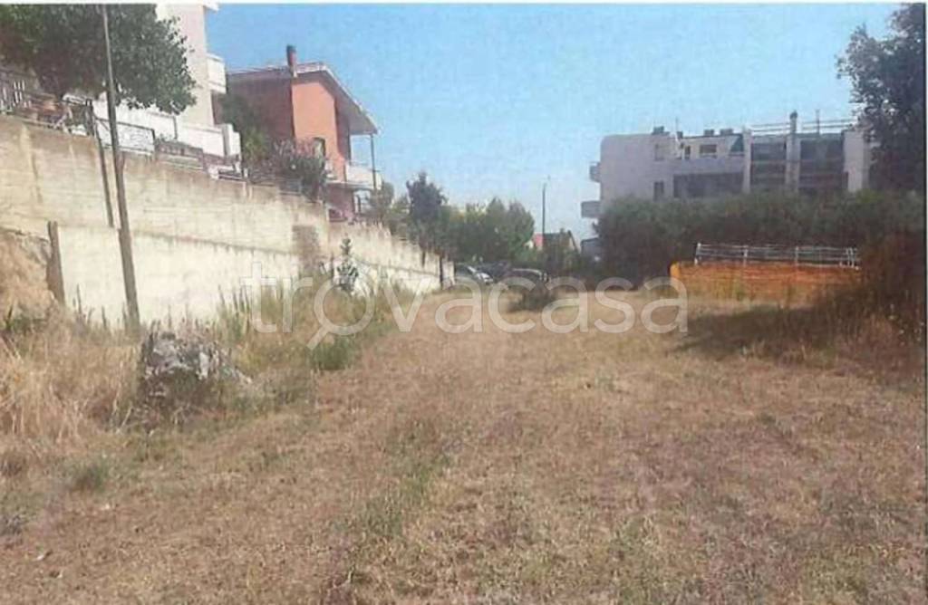 immagine annuncio 4 di 8