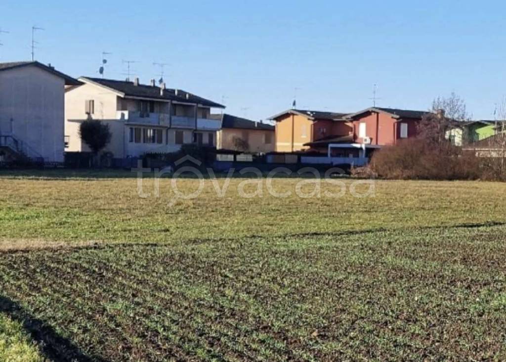immagine annuncio 4 di 6