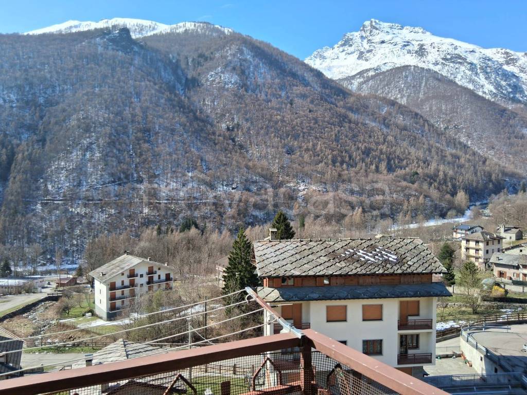 immagine annuncio 10 di 14
