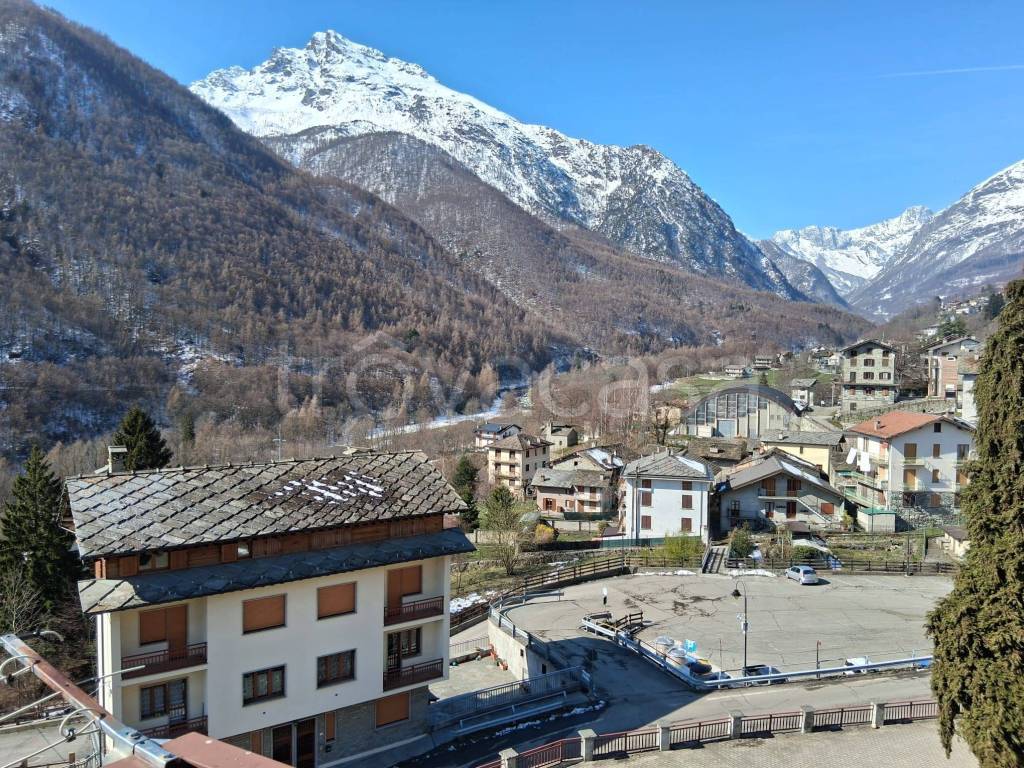 immagine annuncio 5 di 14
