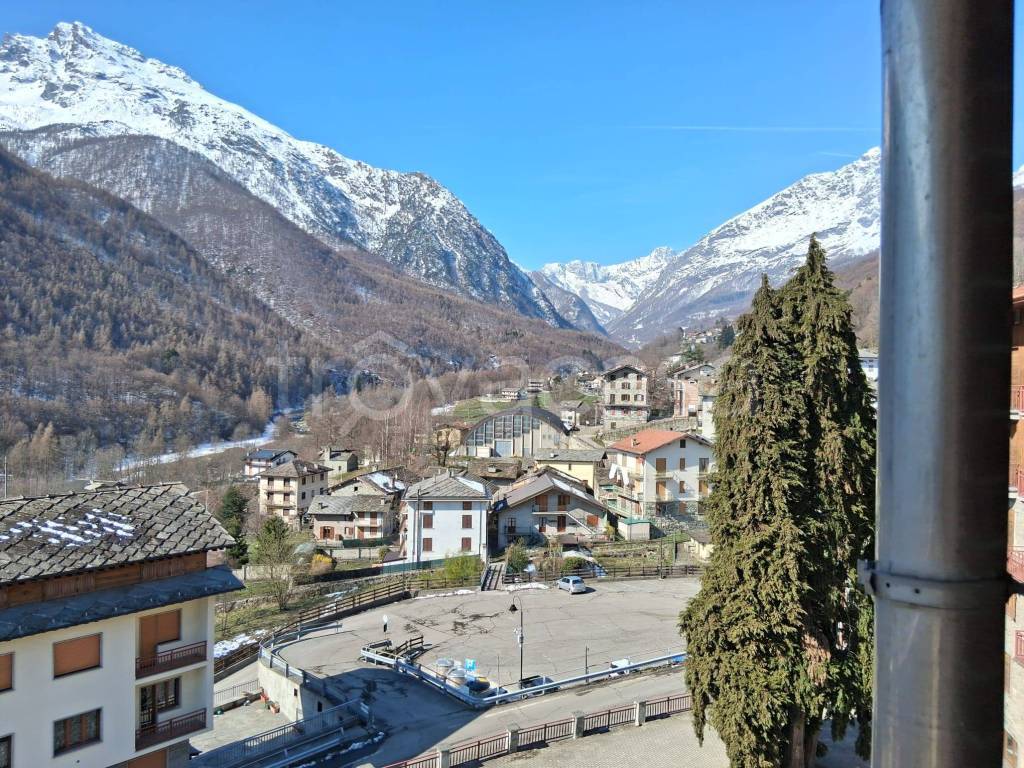 immagine annuncio 11 di 14