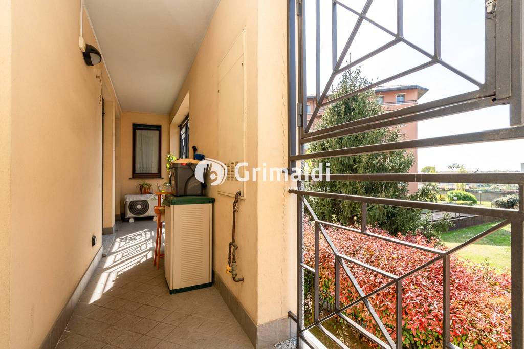 immagine annuncio 5 di 15