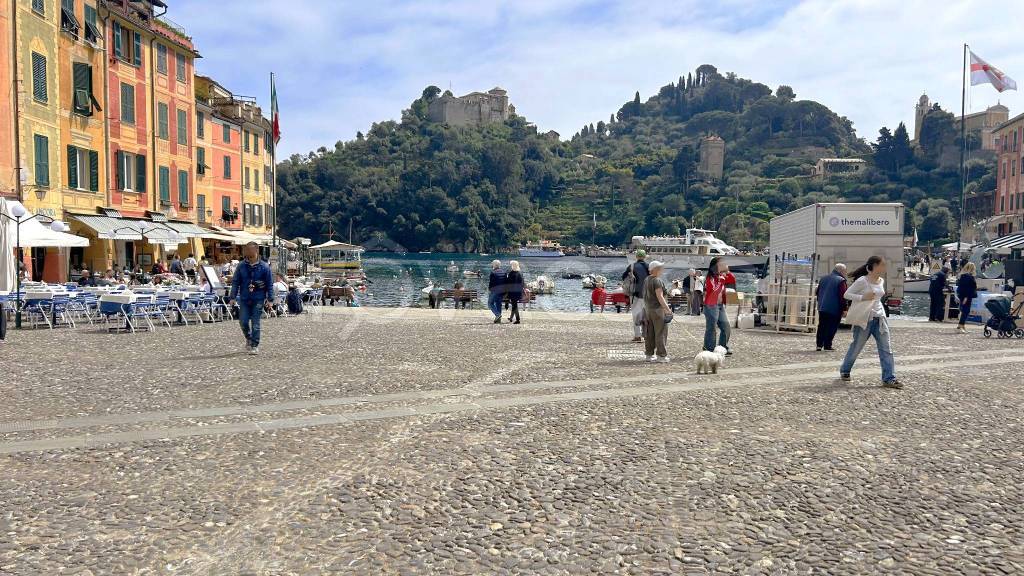 immagine annuncio 1 di 12