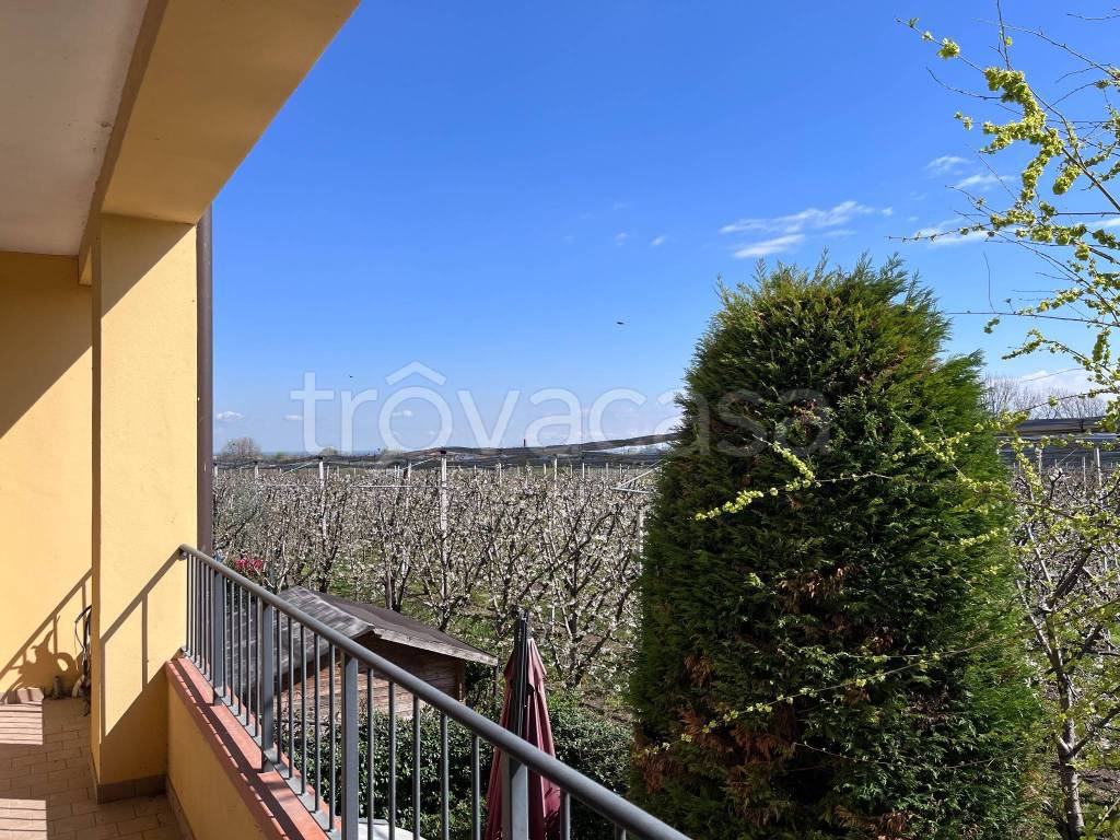 immagine annuncio 3 di 6