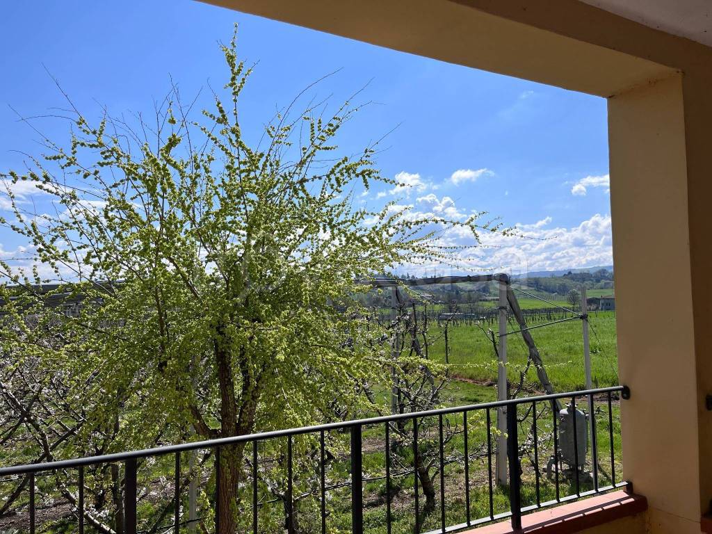 immagine annuncio 4 di 6