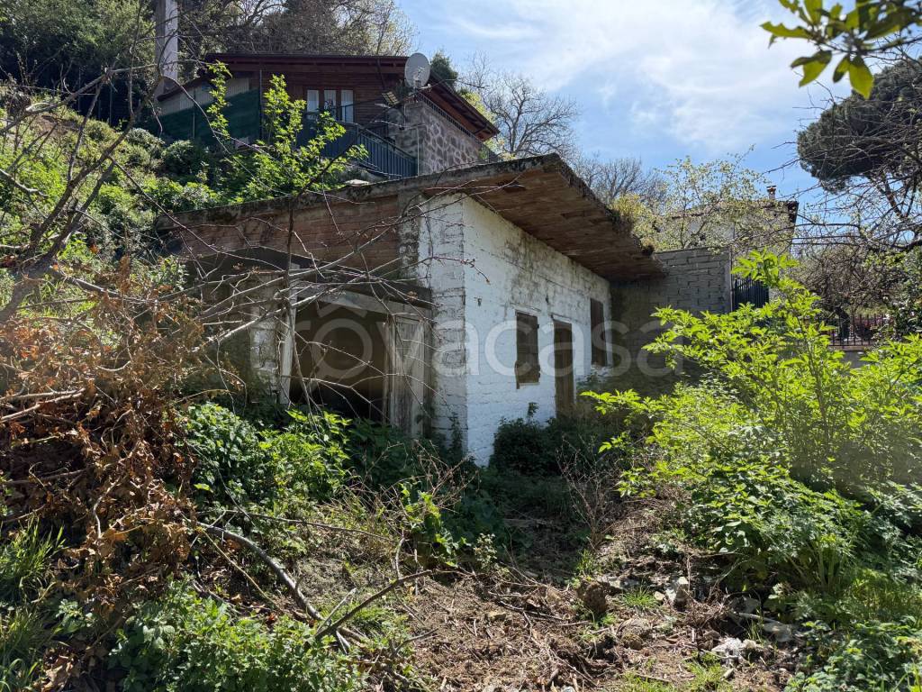 immagine annuncio 1 di 7