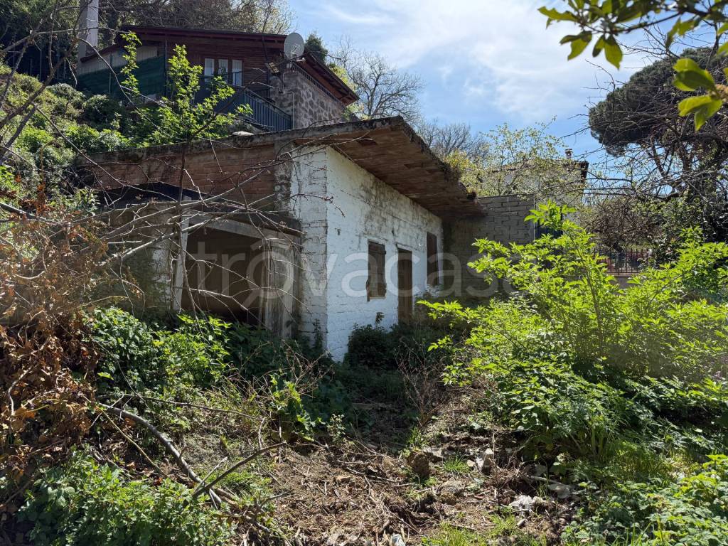 immagine annuncio 6 di 7