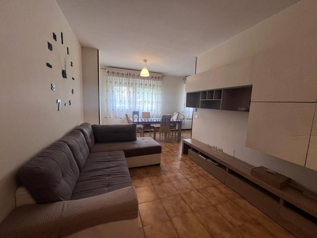 immagine annuncio 3 di 12