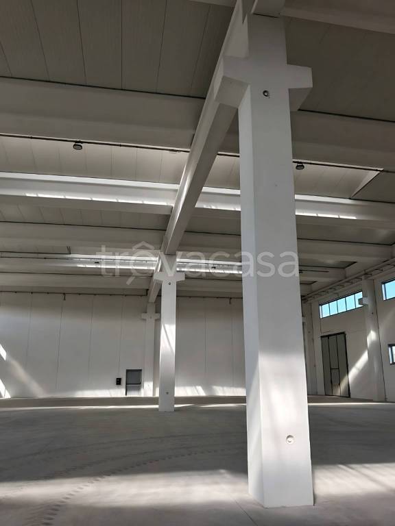 immagine annuncio 4 di 7