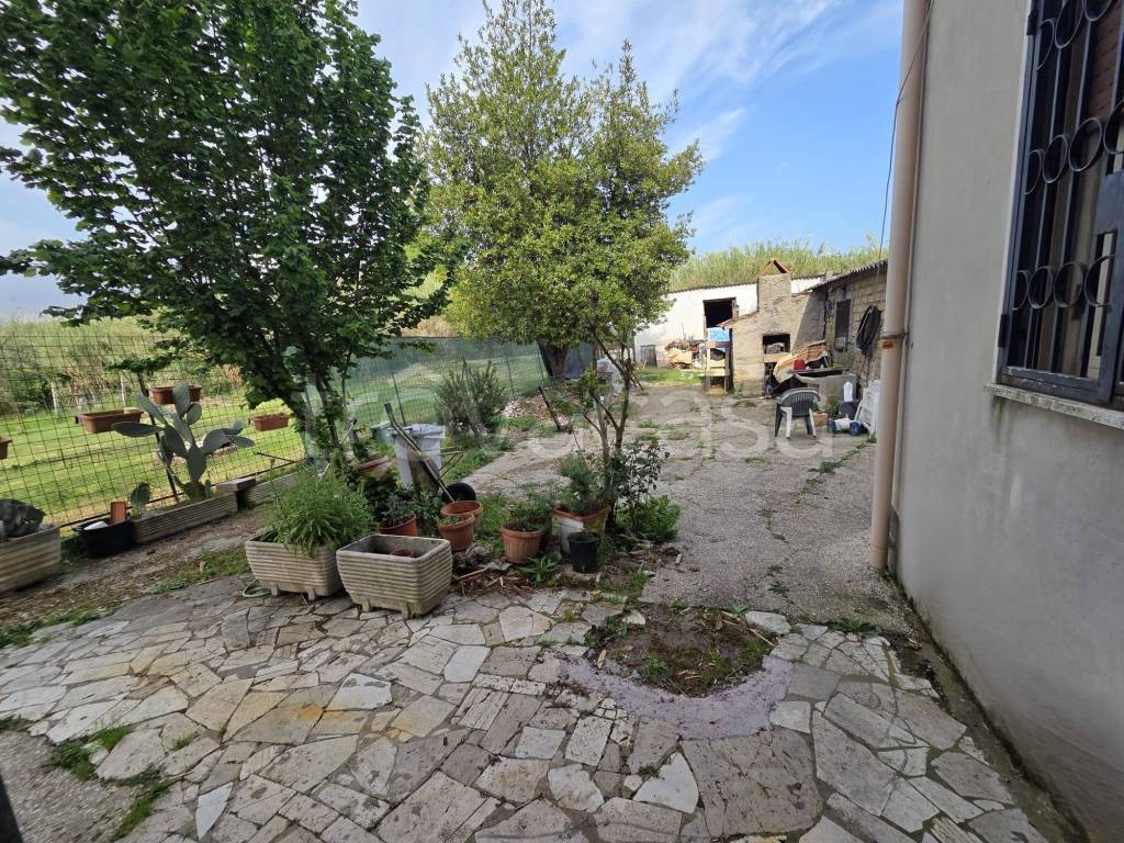 immagine annuncio 10 di 13