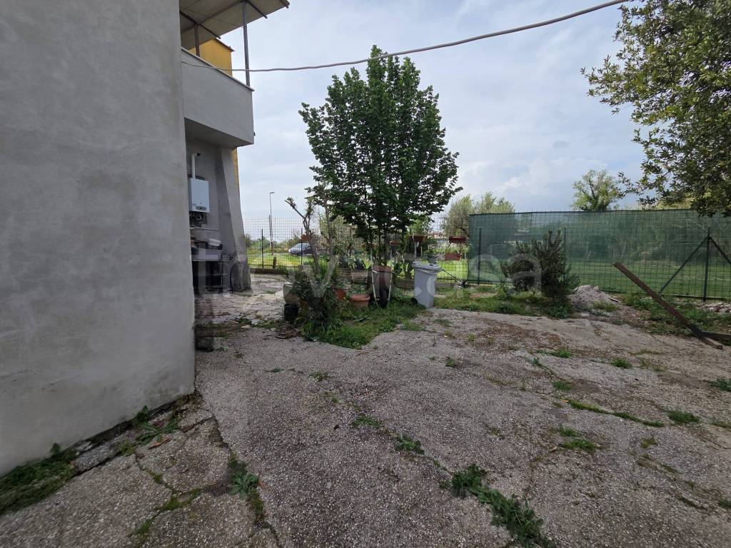 immagine annuncio 11 di 13