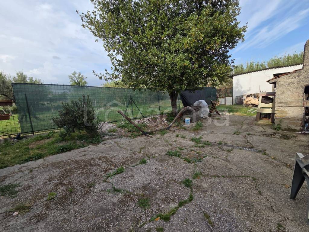 immagine annuncio 12 di 13