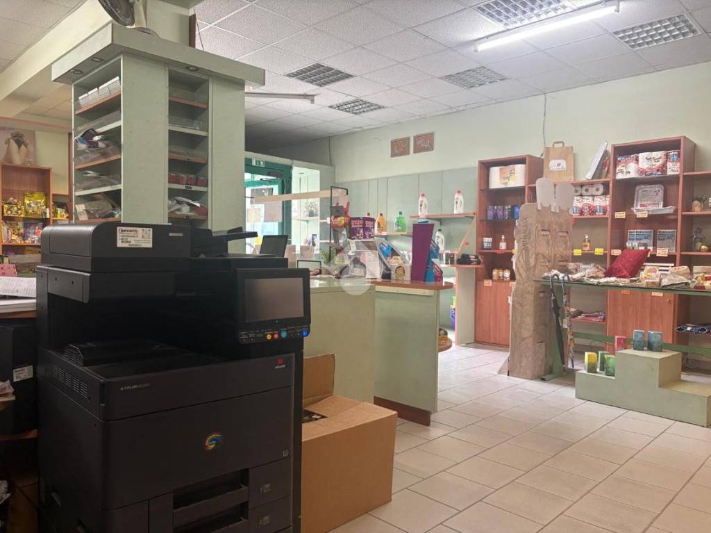 immagine annuncio 2 di 7