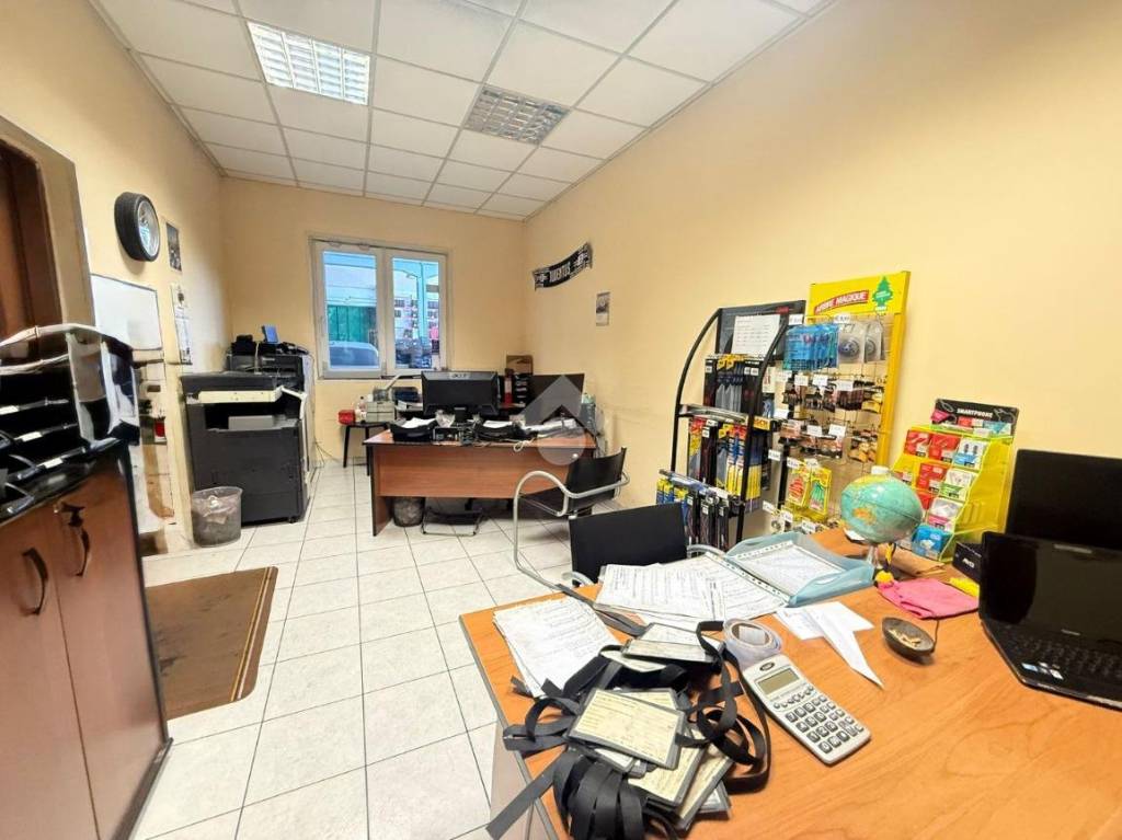immagine annuncio 9 di 15