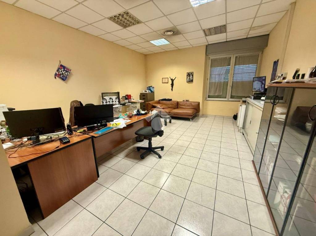 immagine annuncio 10 di 15