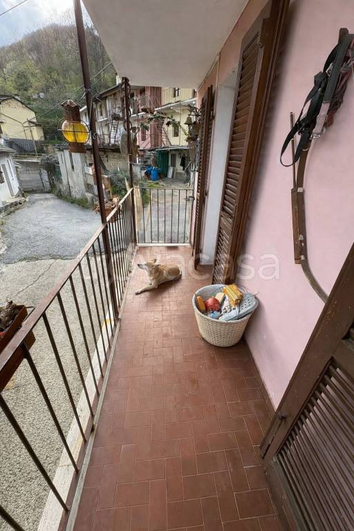 immagine annuncio 10 di 12