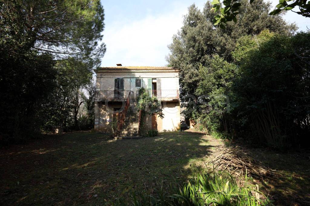 immagine annuncio 2 di 8