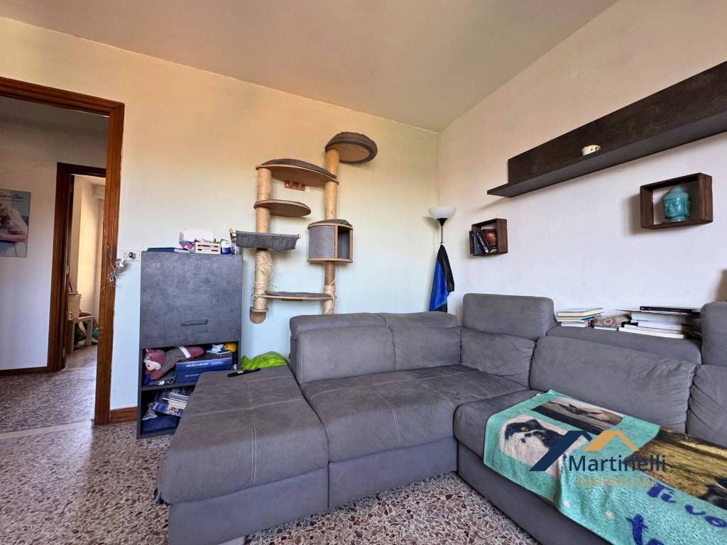 immagine annuncio 11 di 15