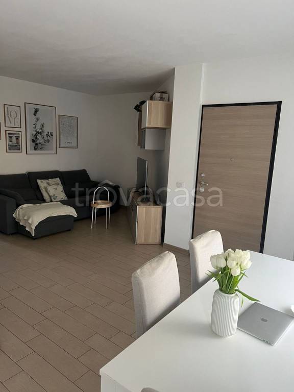 immagine annuncio 1 di 12