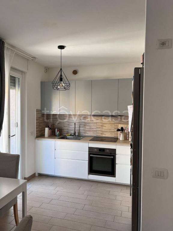 immagine annuncio 2 di 12