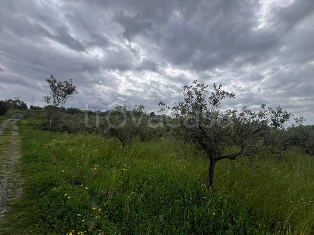 immagine annuncio 3 di 12