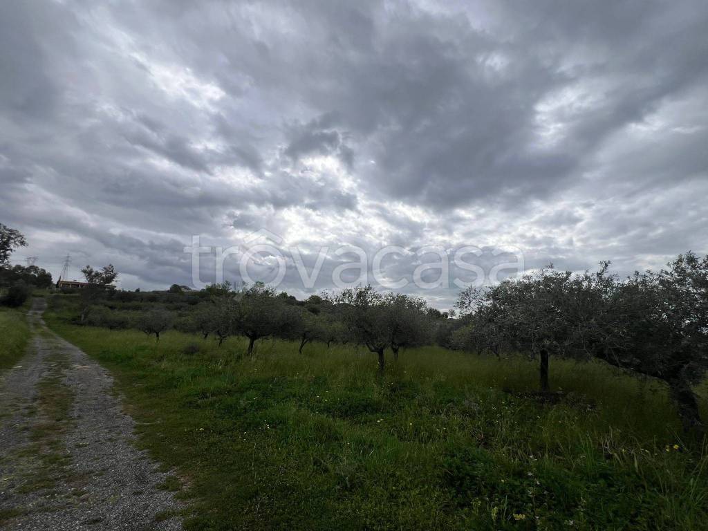 immagine annuncio 7 di 12