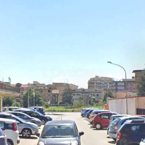 immagine annuncio 11 di 14
